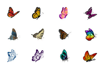 Colorful vector illustration set of isolated butterflies in various designs, perfect for summer and spring nature collections