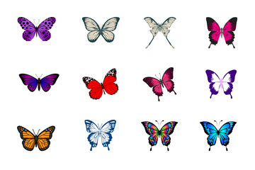 Colorful vector illustration set of isolated butterflies in various designs, perfect for summer and spring nature collections