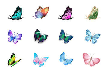 Colorful vector illustration set of isolated butterflies in various designs, perfect for summer and spring nature collections