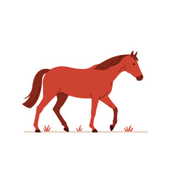 Red horse walking on grass with simple background  