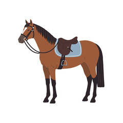 Brown horse wearing a saddle standing on a white background  