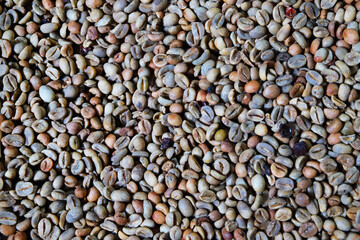 Coffee beans background. Close up of roasted coffee beans.