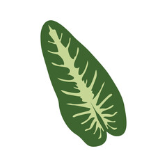 2D Tropical Leaf silhouettes sets flat leaves