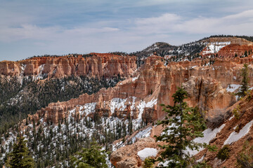Black Birch Canyon, Bryce Canyon National Park, Utah. Claron Formation, (Tcp) Pink member;...