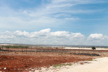 Scorching heat in Sumba's savanna, dust whipping through the air, dead dry grass withering...