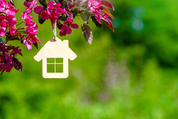 Symbol of the house on the branches of a flowering decorative apple tree 