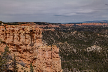 near Black Birch Canyon, Bryce Canyon National Park, Utah. Claron Formation, (Tcp) Pink member;...