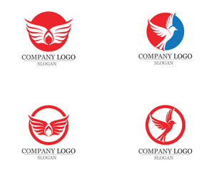 Wings bird sign abstract template icons