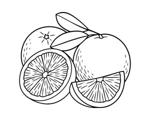 Elegant Orange Line Art: Whole, Sliced, and Leaf Detail - Black and White Vector Illustration