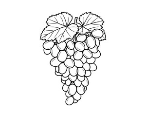 Detailed Black and White Line Art Illustration of a Bunch of Grapes with Leaves