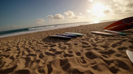 Surfboards resting on sandy beach await surfers - Powered by Adobe