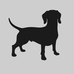 Fototapeta premium Elegant black silhouette of a sitting Doberman dog on white background