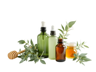 Green amber and sage glass bottles with honey and eucalyptus sprigs isolated on a transparent background