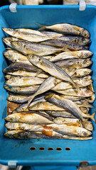 Pile of Dried Fish in a Blue Basket, Providing a Glimpse into Culinary Preservation Methods