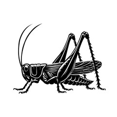 Vector illustration of a black silhouette grasshopper