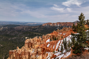 Ponderosa Canyon, Bryce Canyon National Park, Utah. Claron Formation, (Tcp) Pink member; mudstone,...