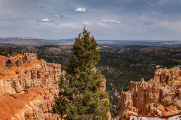 Ponderosa Canyon, Bryce Canyon National Park, Utah. 