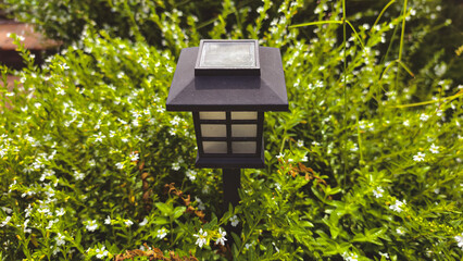Solar garden lantern glowing amidst lush greenery and delicate blossoms, a sustainable lighting