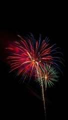 A Spectacular Display of Colorful Fireworks Illuminating the Night Sky with Bright Sparks and Radiant Trails of Light Captivating Viewers Below