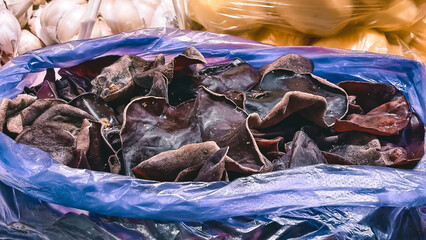 Unusual fungi in plastic bag showcasing textured shapes and natural imperfections offering a