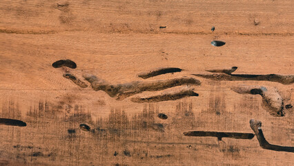 Wormwood texture shows distinctive patterns on the surface of an aged wooden panel