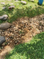 Photo Of A Dirt Road In A Park