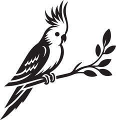 Obraz premium Cockatiel Parrot Vector 