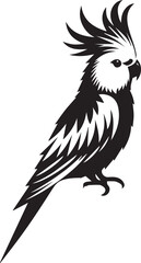 Cockatiel Parrot Vector 