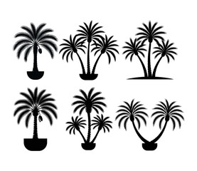 Obraz premium Tropical palm trees set silhouettes