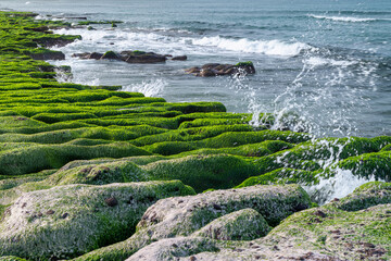 Powerful waves crash against the vibrant green algae-covered rock formations of Laomei Green Reef...