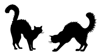 Halloween cat black vector silhouette