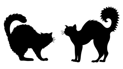 Halloween cat black vector silhouette