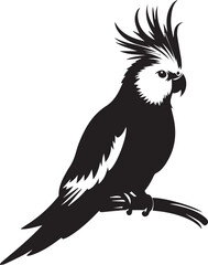 Cockatiel Parrot Vector