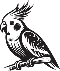 Cockatiel Parrot Vector