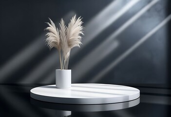 product display 