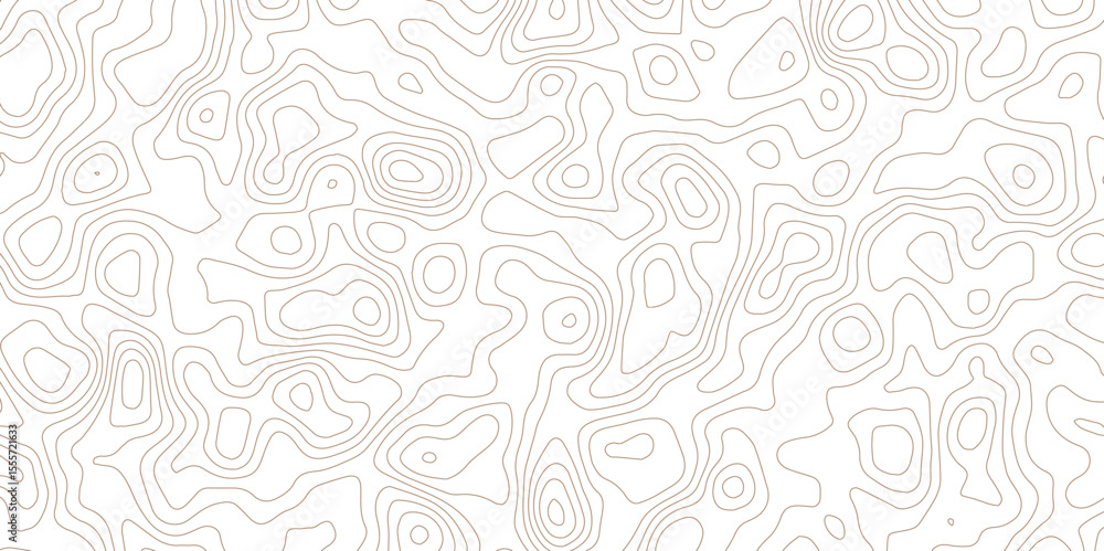 Poster white abstract background with minimal contour lines and terrain flow.