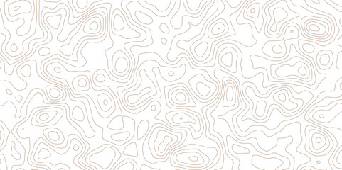Topographic White Line Background with Clean Minimalist Terrain Mapping.