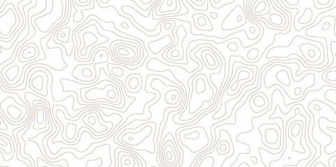 White Abstract Background with Minimal Contour Lines and Terrain Flow.