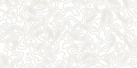 Elegant White Topographic Line Illustration with Minimal Wave Texture.