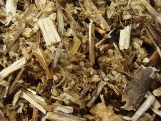 Dried Elsholtzia Ciliata (Hyangu) Used in Traditional Korean Herbal Medicine