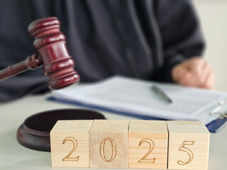 Legal proceedings in 2025 with wooden gavel, blocks, and official documents