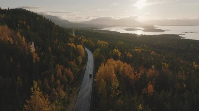 Car driving through autumn forest at sunset