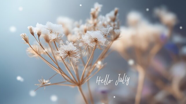 Snow covered branches against a dreamy blue background with hello july text overlayed on the right