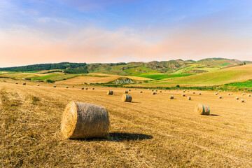 summer landscape of a beautiful wheat field with hay stacks in a yellow meadow of rural farmland...
