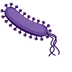 vector illustration of a cartoon virus