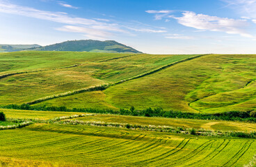 Fototapeta premium picturesque sunset or sunrise in nice green and yellow shiny field with beautiful golden rows of wheat among highland hills and bright colorful evening sky with clouds on background