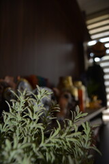 Photo Of A Collection Of Things As Room Decor