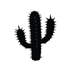 Black silhouette of a spiky cactus standing tall against a white backdrop