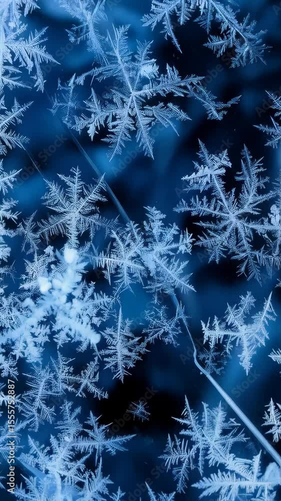 Poster close-up of intricate ice crystal snowflakes pattern on dark blue frozen window pane, winter backgro