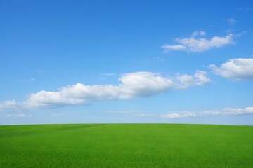 Fototapeta premium Vast Green Meadow Under a Brilliant Blue Sky with Wispy White Clouds